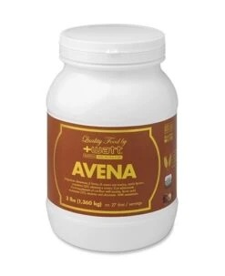Avena Quality Food Nocciola 1,36 Kg