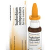 Euphorbium Compositum Spray Nasale 20 Ml