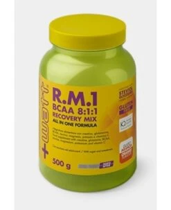 Recovery Mix Bcaa 500 G +WATT