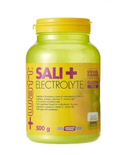 Sali+ Performance Electrolyte Gusto Limone 500 G